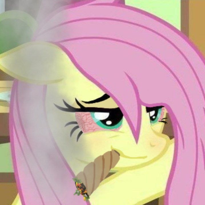 Flutter's hittin' some Zaza